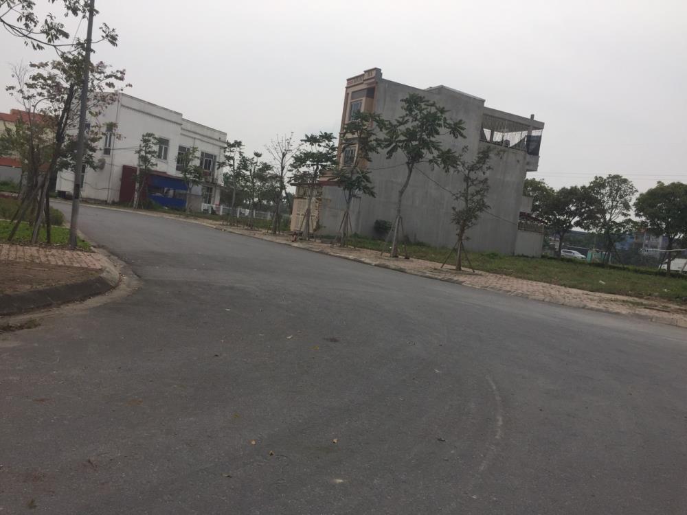 Bán Gấp 2 Lô Đất Ngoại Giao 100m2, New City Phố Nối Hưng Yên - Giá Tốt